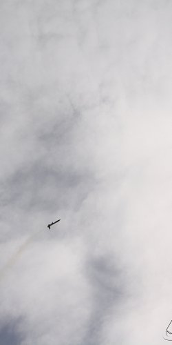 2013 Svojek Mirek Topinka